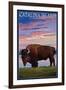 Catalina Island, California - Bison and Sunset-Lantern Press-Framed Art Print