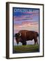 Catalina Island, California - Bison and Sunset-Lantern Press-Framed Art Print