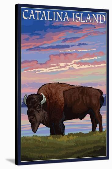 Catalina Island, California - Bison and Sunset-Lantern Press-Stretched Canvas
