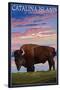 Catalina Island, California - Bison and Sunset-Lantern Press-Stretched Canvas