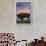 Catalina Island, California - Bison and Sunset-Lantern Press-Framed Art Print displayed on a wall