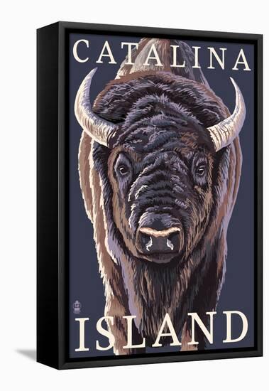 Catalina Island, California - Bison Up Close-Lantern Press-Framed Stretched Canvas