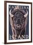 Catalina Island, California - Bison Up Close-Lantern Press-Framed Art Print