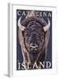 Catalina Island, California - Bison Up Close-Lantern Press-Framed Art Print