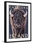 Catalina Island, California - Bison Up Close-Lantern Press-Framed Art Print
