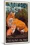 Catalina Island, California - Fox and Kit-Lantern Press-Mounted Art Print