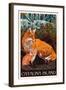 Catalina Island, California - Fox and Kit-Lantern Press-Framed Art Print