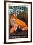 Catalina Island, California - Fox and Kit-Lantern Press-Framed Art Print