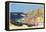 Catalina Island-null-Framed Stretched Canvas