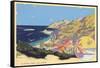 Catalina Island-null-Framed Stretched Canvas