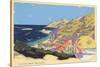 Catalina Island-null-Stretched Canvas