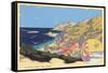 Catalina Island-null-Framed Stretched Canvas