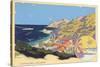 Catalina Island-null-Stretched Canvas