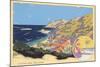 Catalina Island-null-Mounted Art Print