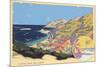Catalina Island-null-Mounted Premium Giclee Print