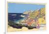 Catalina Island-null-Framed Art Print