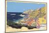 Catalina Island-null-Mounted Art Print