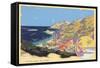 Catalina Island-null-Framed Stretched Canvas