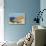 Catalina Island-null-Stretched Canvas displayed on a wall