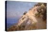 Catalina Island-William Less Judson-Stretched Canvas