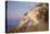 Catalina Island-William Less Judson-Stretched Canvas