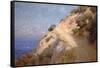 Catalina Island-William Less Judson-Framed Stretched Canvas