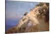 Catalina Island-William Less Judson-Stretched Canvas