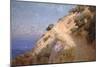 Catalina Island-William Less Judson-Mounted Art Print