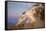 Catalina Island-William Less Judson-Framed Stretched Canvas