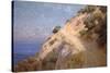 Catalina Island-William Less Judson-Stretched Canvas