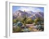 Catalina Mountain Foothills-Maxine Johnston-Framed Art Print