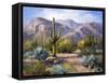 Catalina Mountain Foothills-Maxine Johnston-Framed Stretched Canvas