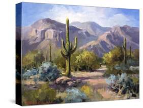 Catalina Mountain Foothills-Maxine Johnston-Stretched Canvas