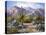 Catalina Mountain Foothills-Maxine Johnston-Stretched Canvas