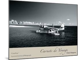 Catalina-Chris Simpson-Mounted Giclee Print