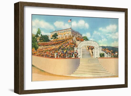 Catalina-null-Framed Art Print