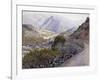 Catalina-Gunnar Widforss-Framed Art Print