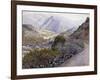 Catalina-Gunnar Widforss-Framed Art Print