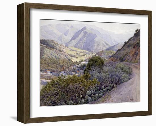 Catalina-Gunnar Widforss-Framed Art Print