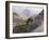 Catalina-Gunnar Widforss-Framed Art Print