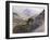 Catalina-Gunnar Widforss-Framed Art Print