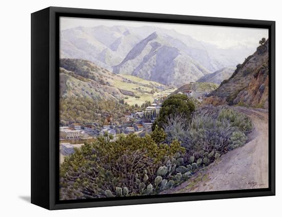 Catalina-Gunnar Widforss-Framed Stretched Canvas