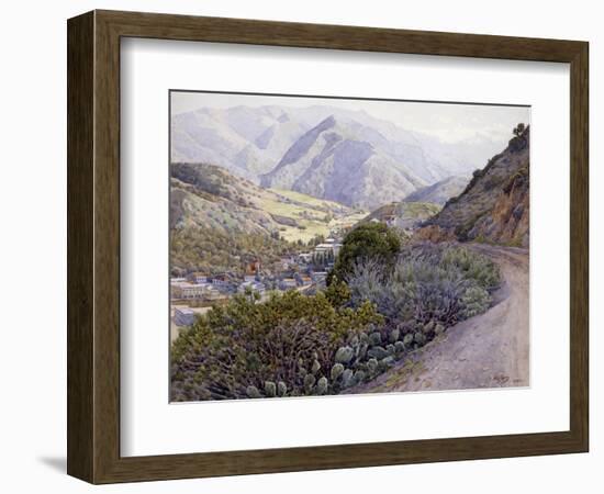 Catalina-Gunnar Widforss-Framed Art Print