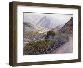 Catalina-Gunnar Widforss-Framed Art Print