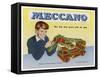 Catalogue for "Meccano" the Best of All Construction Toys-null-Framed Stretched Canvas