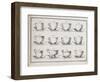 Catalogue of the Porcelain Factory Coussac Bonneval-null-Framed Giclee Print