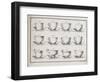 Catalogue of the Porcelain Factory Coussac Bonneval-null-Framed Giclee Print