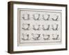 Catalogue of the Porcelain Factory Coussac Bonneval-null-Framed Giclee Print