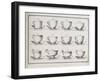 Catalogue of the Porcelain Factory Coussac Bonneval-null-Framed Giclee Print