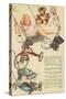 Catalogue Page of Toys, Swing, Trike-null-Stretched Canvas